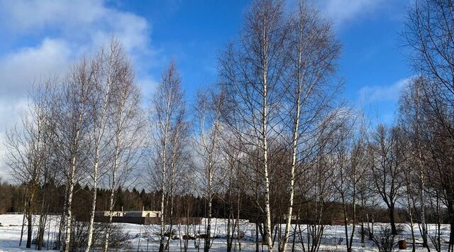 земля д Калистово ул Изумрудная Пушкинский городской округ фото