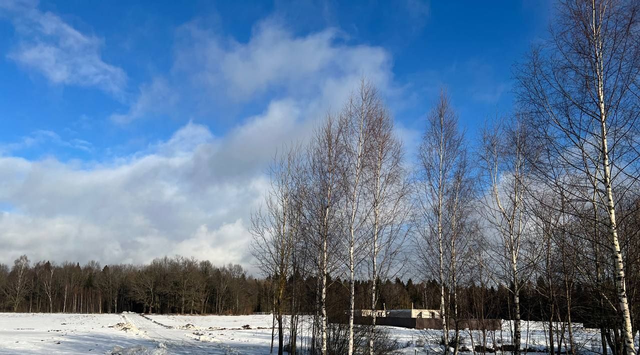 земля городской округ Волоколамский д Калистово ул Изумрудная Пушкинский городской округ фото 2