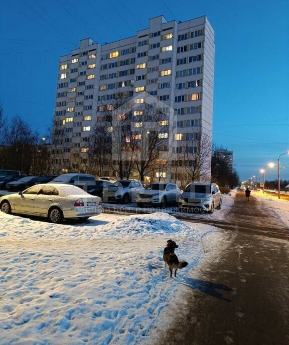 квартира г Санкт-Петербург метро Проспект Ветеранов ул Добровольцев 50 фото 1