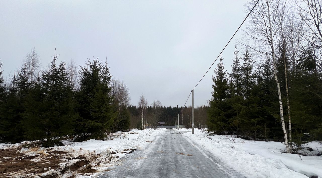 земля городской округ Сергиево-Посадский Шубино-Яркое тер фото 20