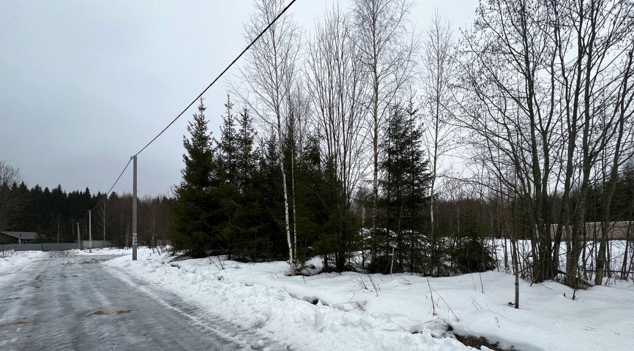 земля городской округ Сергиево-Посадский Шубино-Яркое тер фото 26