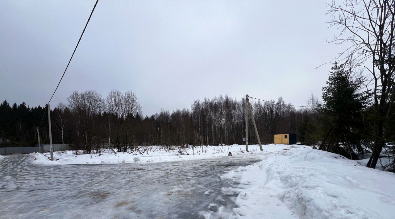 земля городской округ Сергиево-Посадский Шубино-Яркое тер фото 28