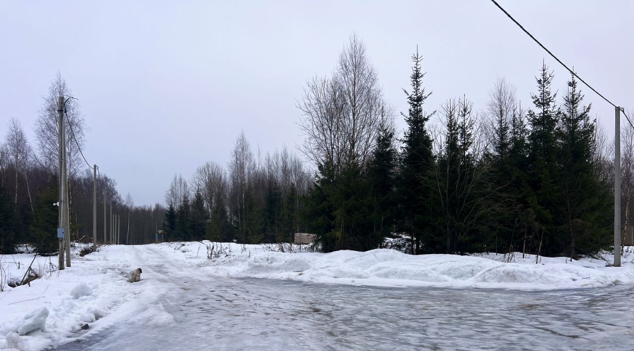 земля городской округ Сергиево-Посадский Шубино-Яркое тер фото 34