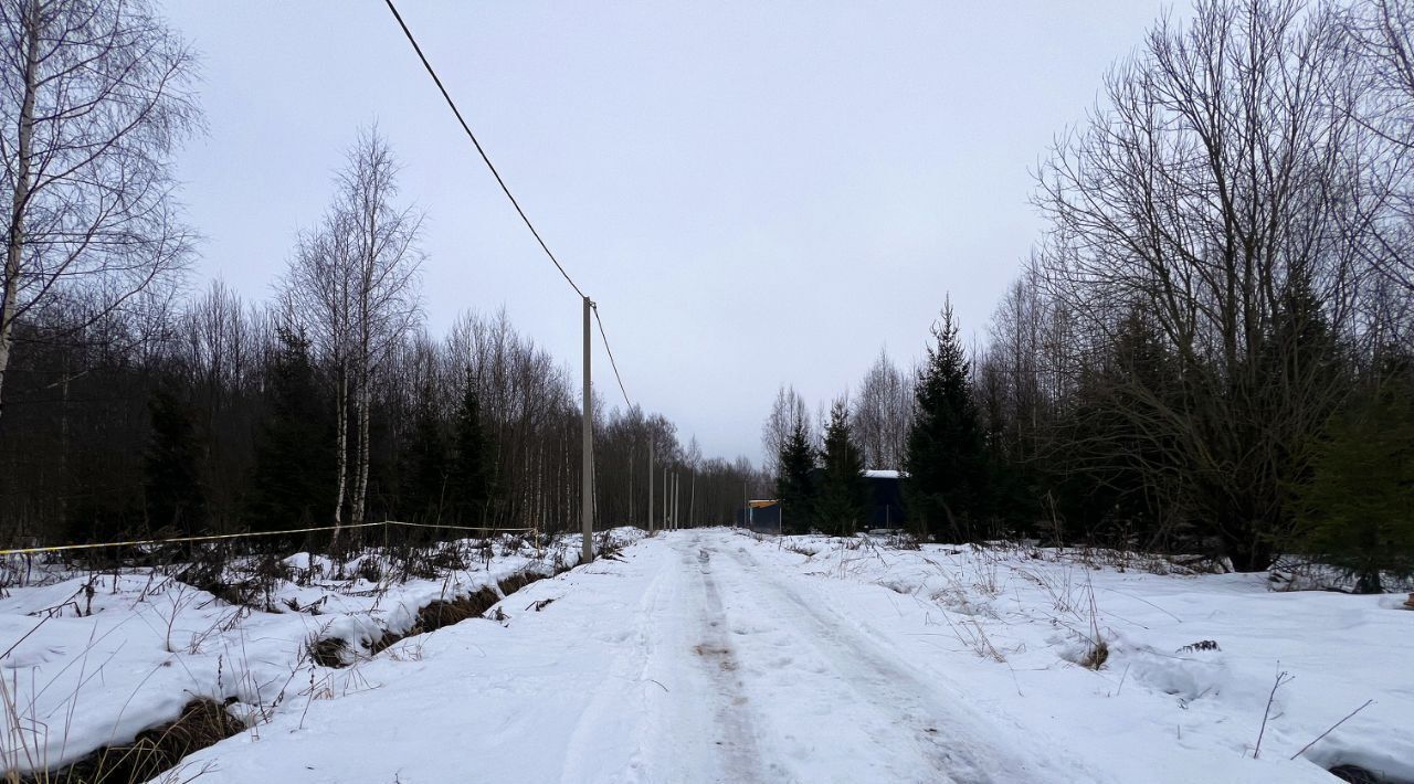 земля городской округ Сергиево-Посадский Шубино-Яркое тер фото 35