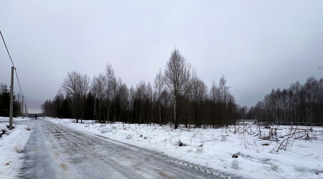 земля городской округ Сергиево-Посадский Шубино-Яркое тер фото 33