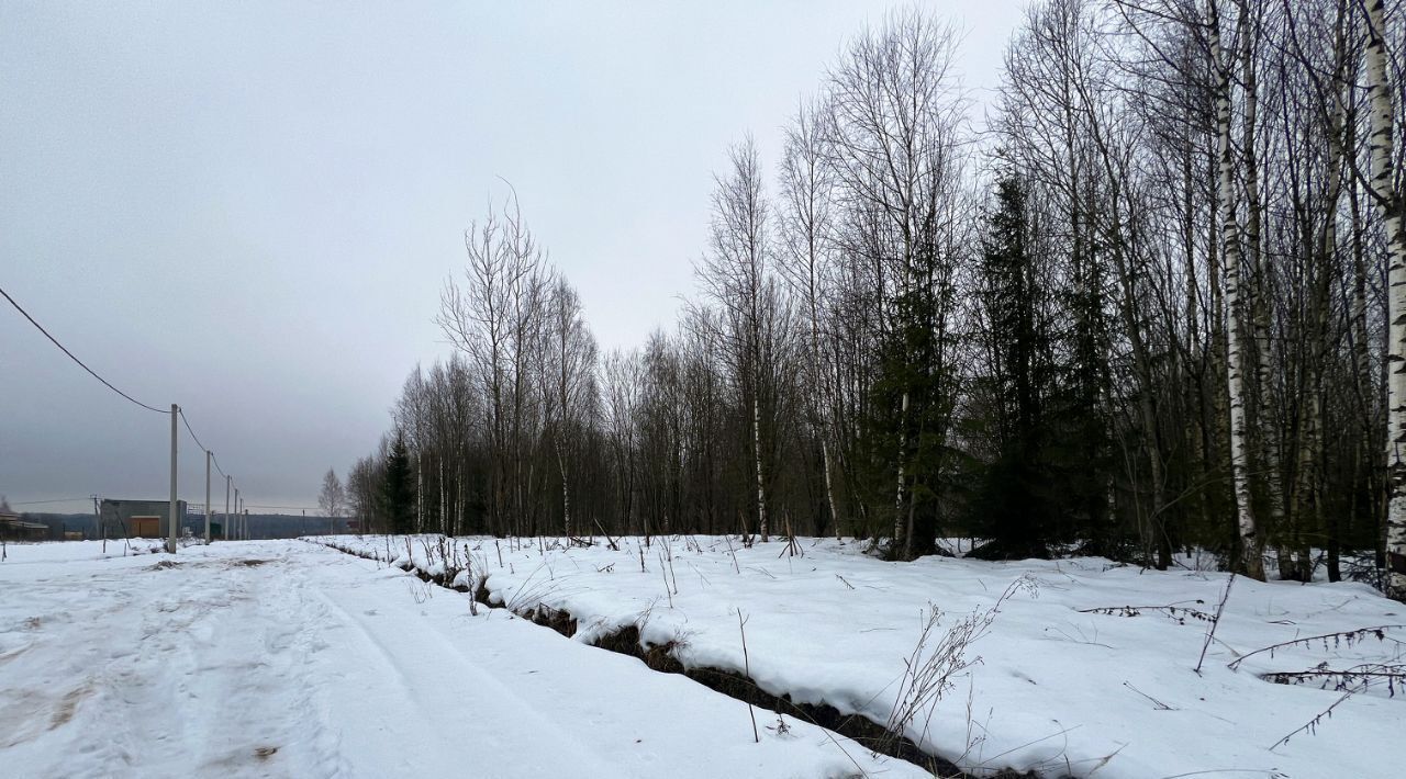 земля городской округ Сергиево-Посадский Шубино-Яркое тер фото 39