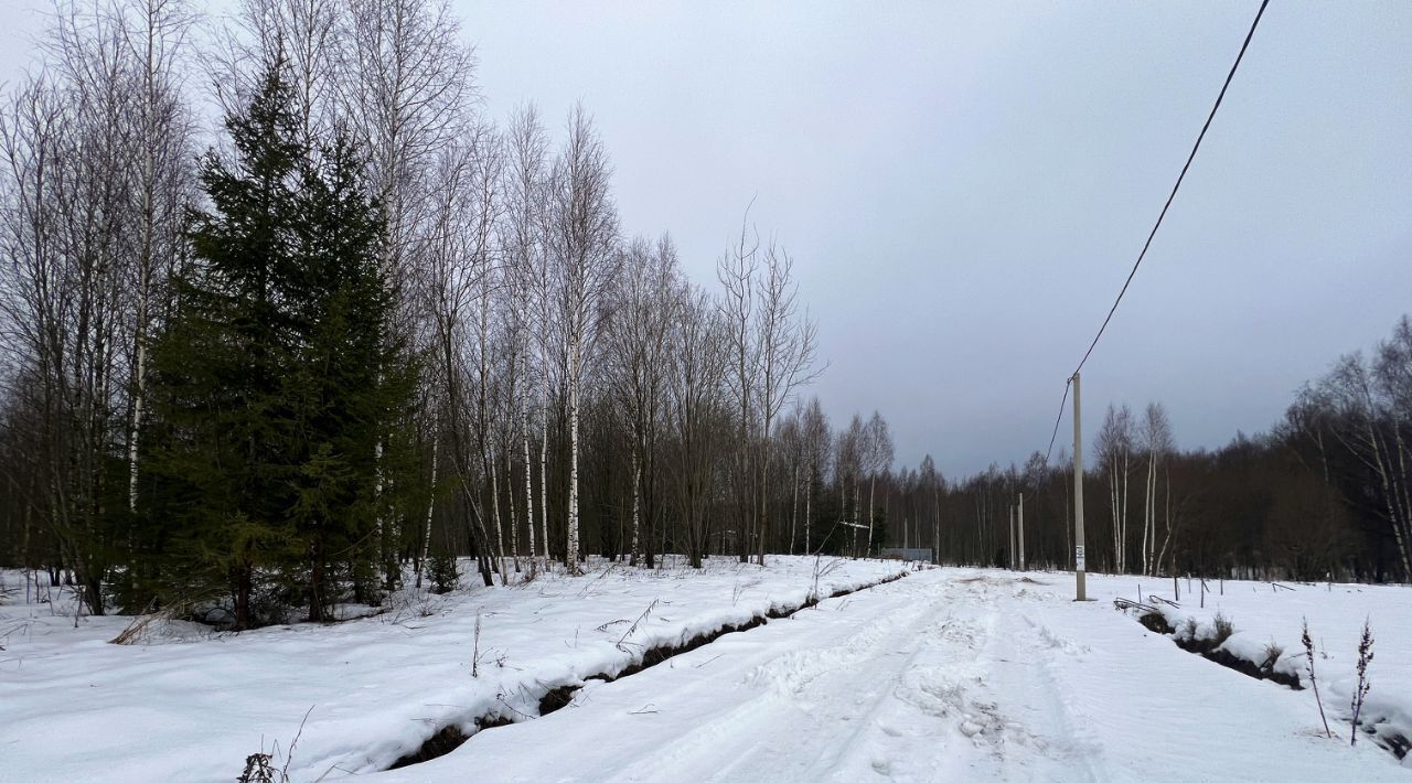 земля городской округ Сергиево-Посадский Шубино-Яркое тер фото 42