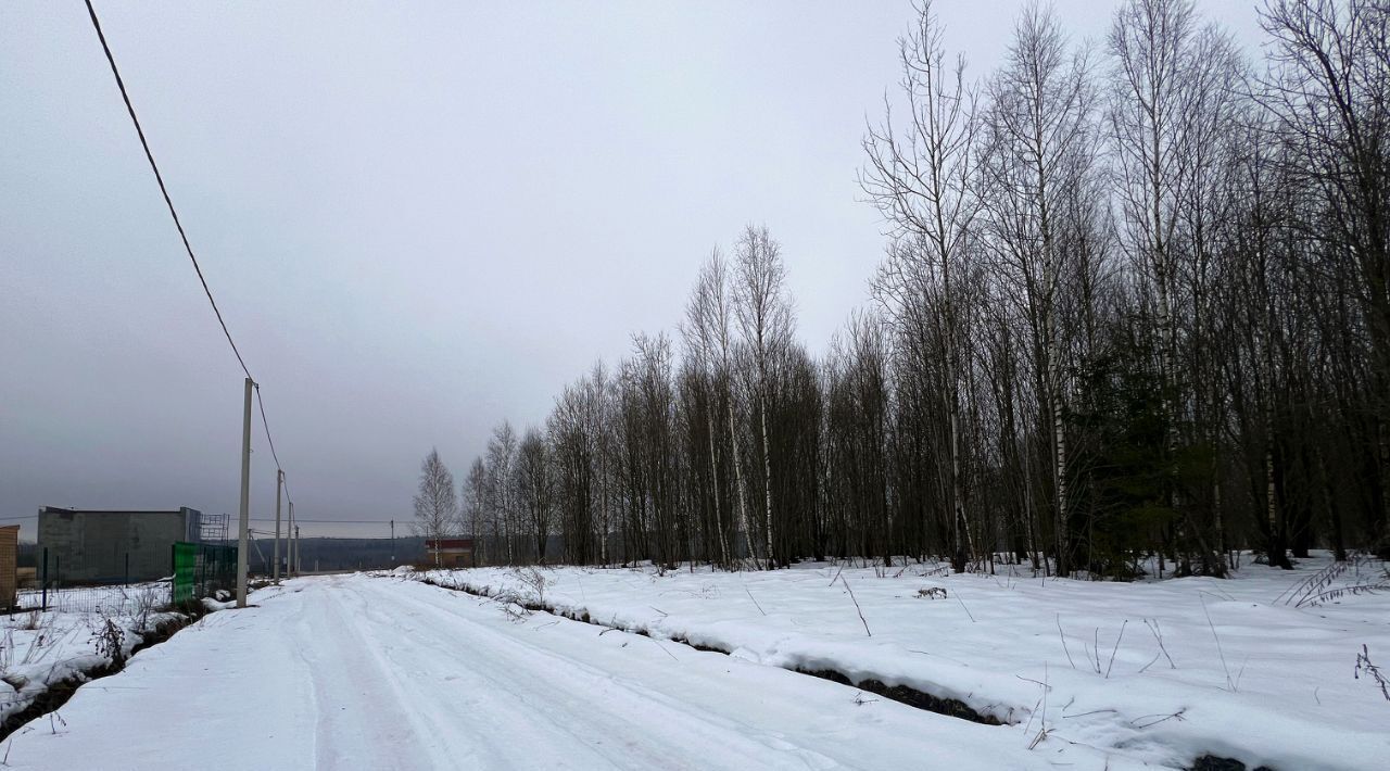 земля городской округ Сергиево-Посадский Шубино-Яркое тер фото 41