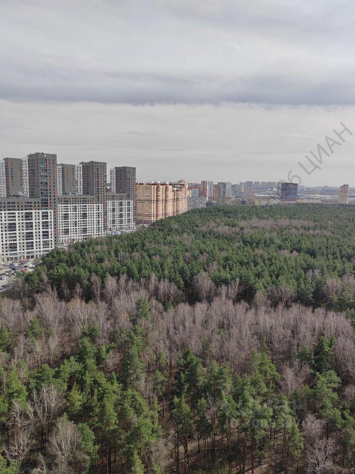 квартира направление Казанское (юго-восток) ш Новорязанское Котельники, городской округ Котельники, Жилой комплекс «Белые росы», с 1 фото 21