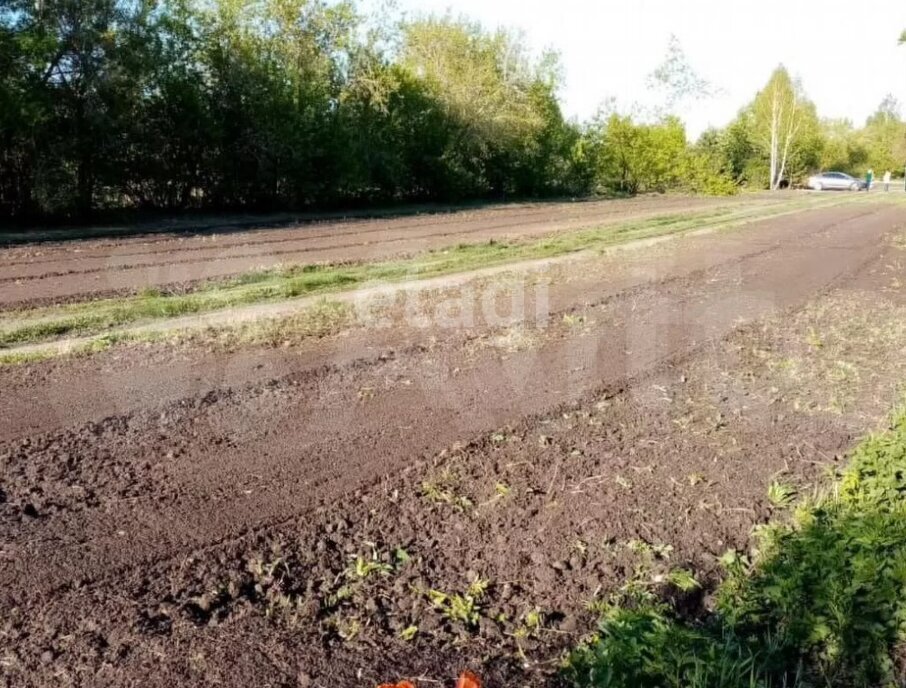 дом г Омск садоводческое некоммерческое товарищество Сатурн Верхний, 1-я аллея фото 5