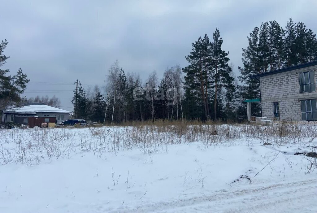 земля р-н Рамонский с Ямное ул Огородная фото 4