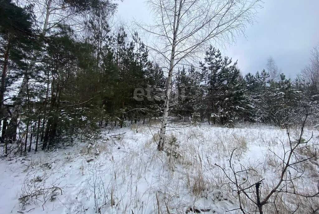 земля р-н Рамонский с Ямное ул Огородная фото 5