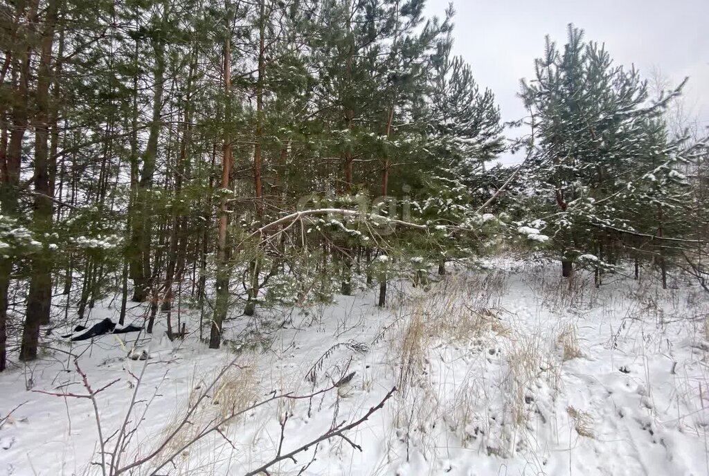 земля р-н Рамонский с Ямное ул Огородная фото 6