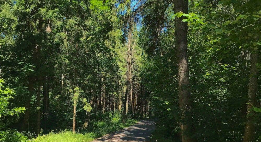 земля г Солнечногорск Лисичкин Лес кп, Зеленоград — Крюково, ул. Лисичкина фото 4