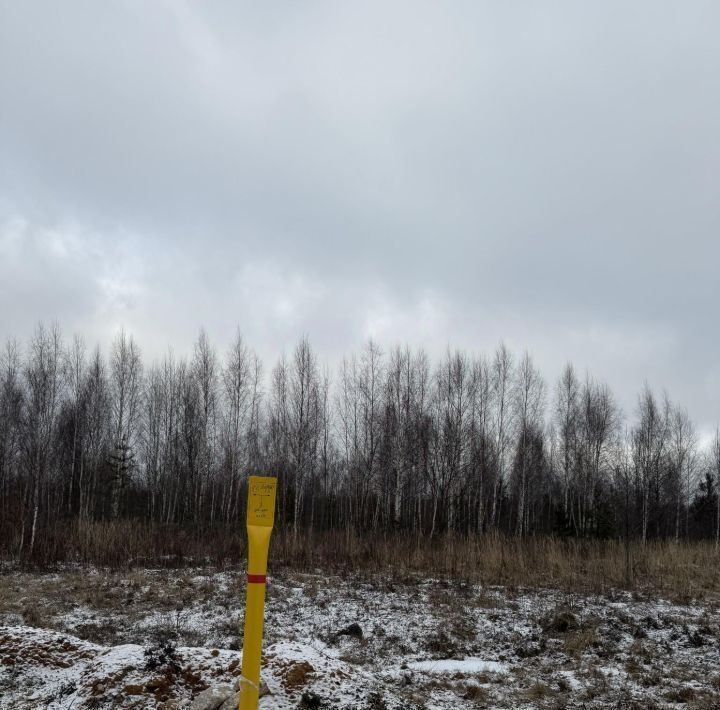 земля г Владимир д Вилки ул Центральная 22 р-н Октябрьский фото 2