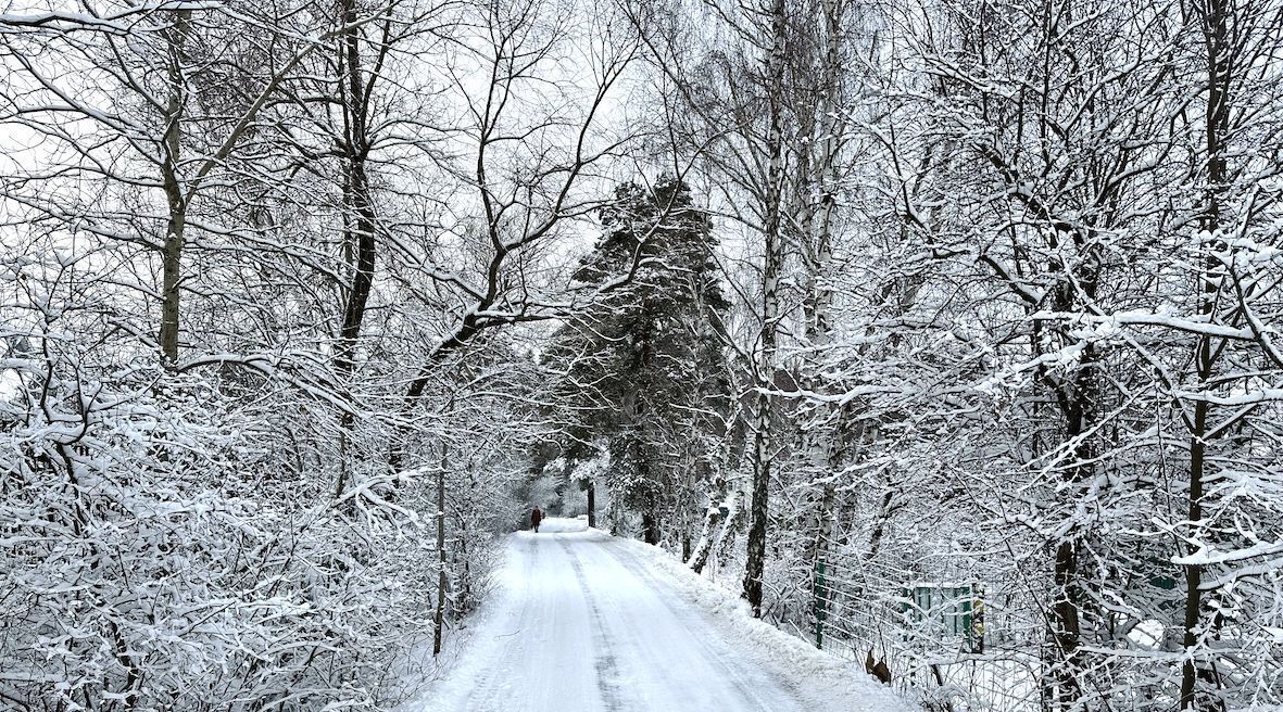 земля городской округ Раменский д Каменное Тяжино Удельная фото 2