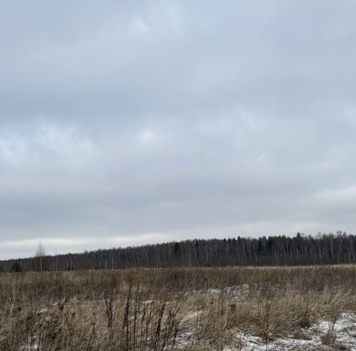 земля г Владимир д Вилки ул Центральная р-н Октябрьский фото 12