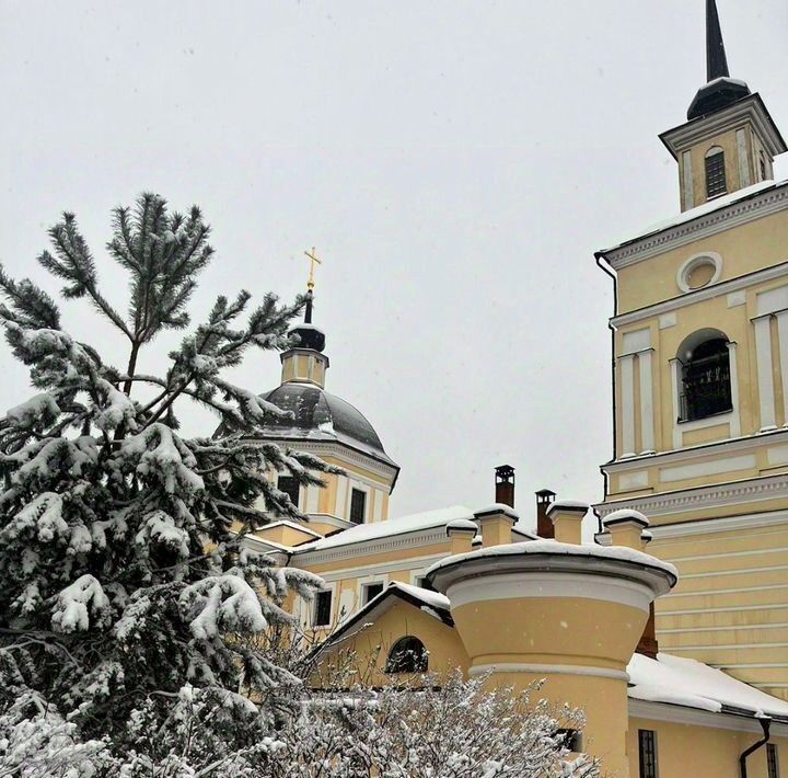 земля городской округ Дмитровский д Федоровка фото 2