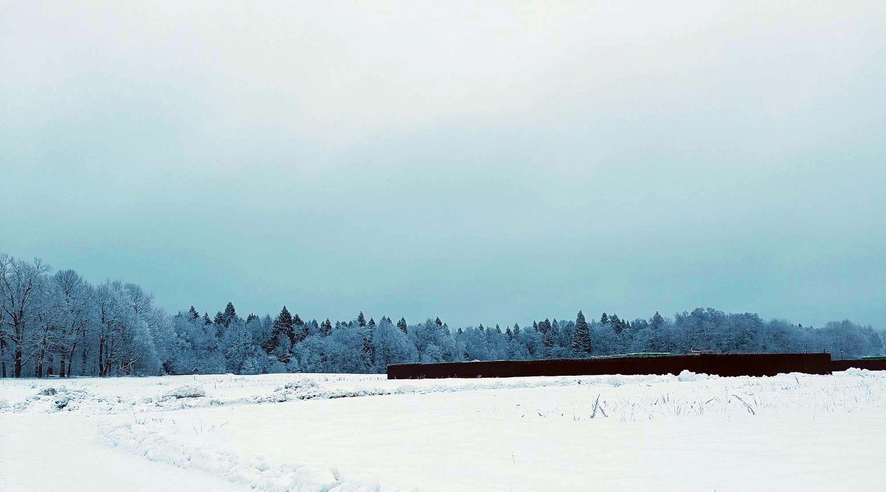 земля 110, Пушкинский городской округ, Калистово кп фото 4