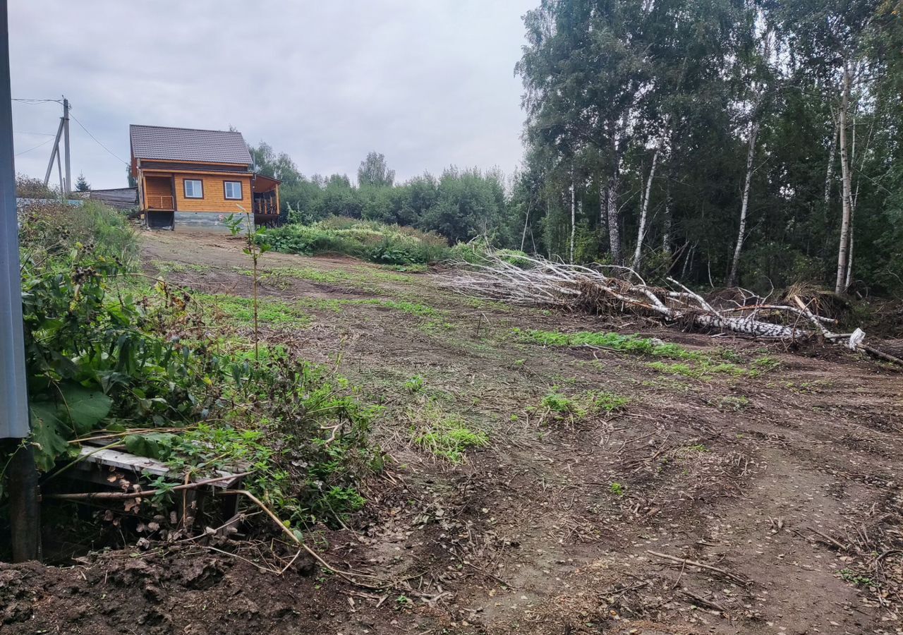 земля р-н Новосибирский с Раздольное Раздольненский сельсовет, Новосибирск фото 3