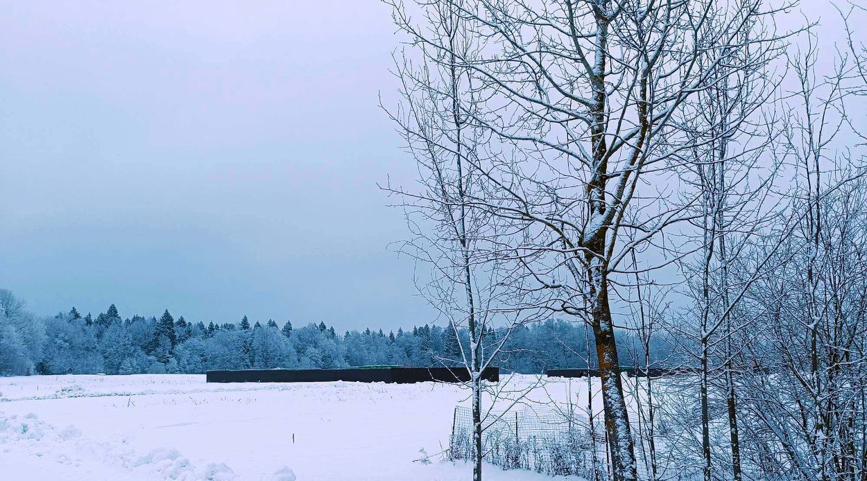 земля 110, Пушкинский городской округ, Калистово кп фото 5