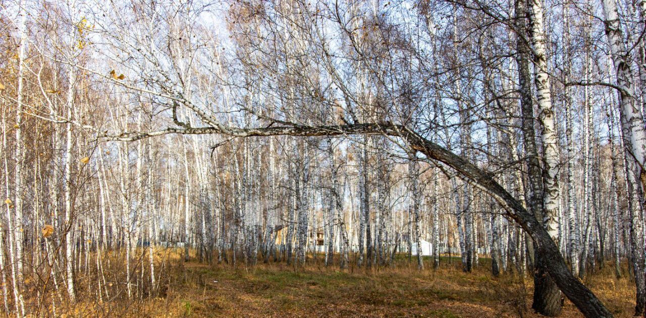 земля г Новосибирск Речной вокзал ул Рябиновая фото 6