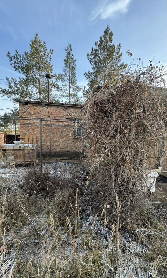 дом р-н Волжский с Подъем-Михайловка ул Советская сельское поселение Подъём-Михайловка, Дубовый Умет фото 13