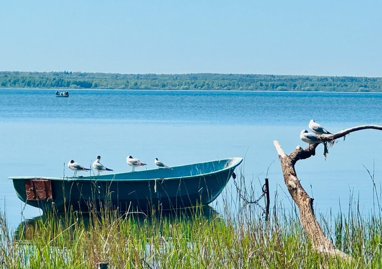 дом р-н Переславский с Городище Переславль-Залесский фото 6