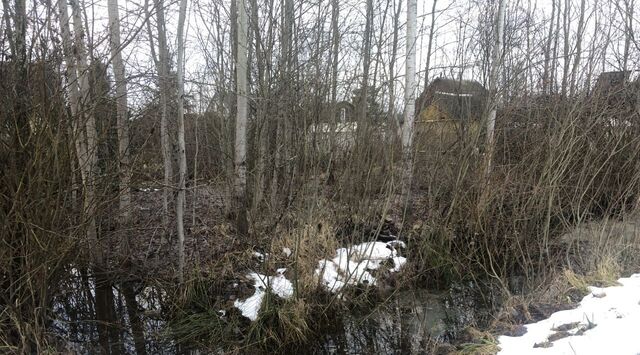 снт Русский дизель Морозовское городское поселение, 6-я линия фото