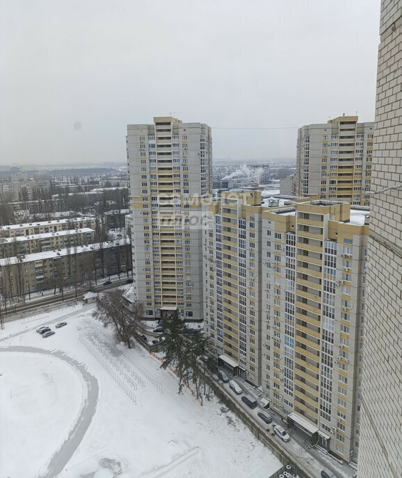 квартира г Воронеж ул Переверткина 1/11 фото 28