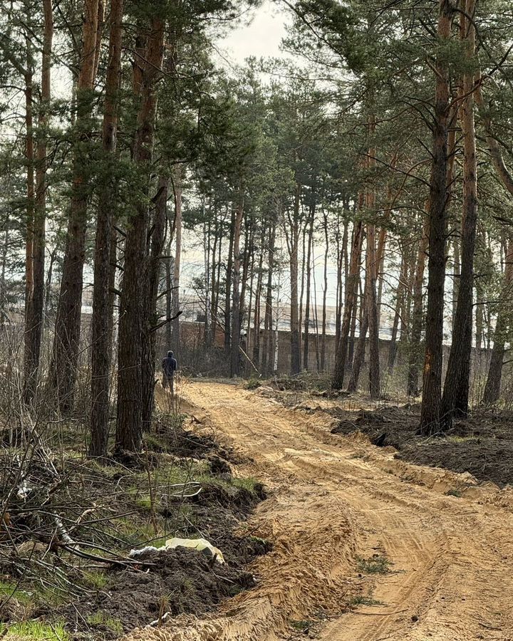 земля г Балашиха д Полтево 19 км, Электроугли, Носовихинское шоссе фото 3