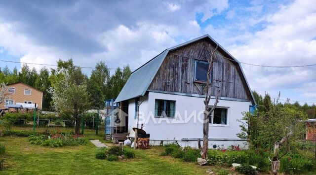 снт Головино Головинское муниципальное образование фото