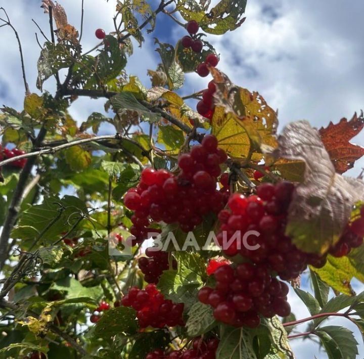 дом г Владимир р-н Фрунзенский снт Сунгирь-3 фото 13