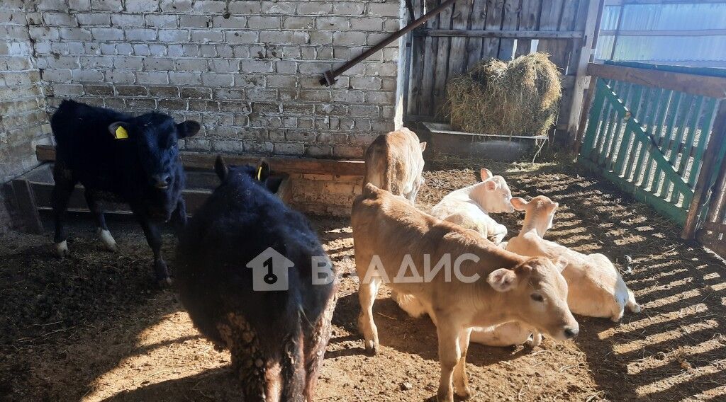 производственные, складские р-н Судогодский д Каменец Головинское муниципальное образование, ул. Центральная фото 24