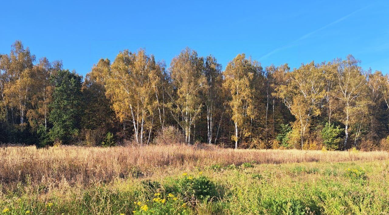 земля городской округ Кашира п Никулино фото 1