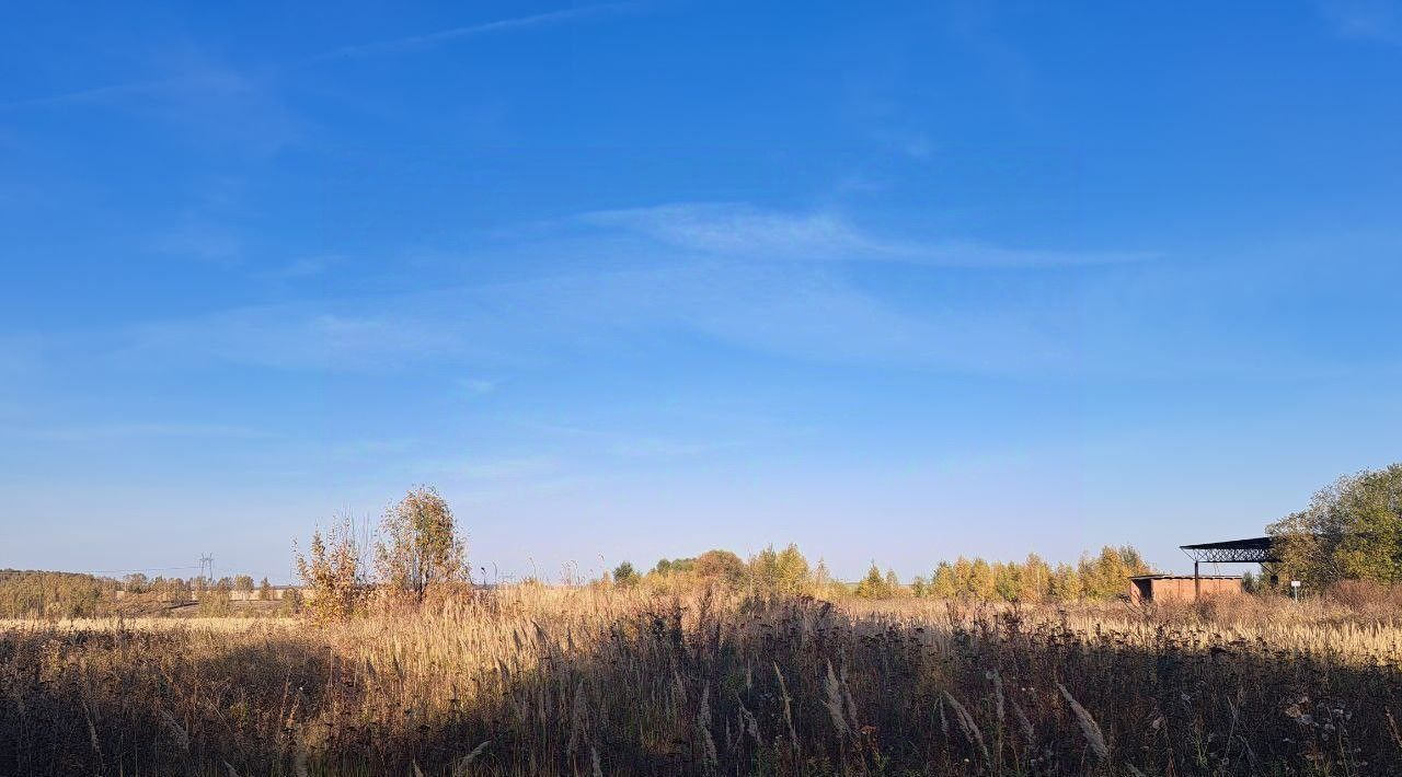 земля городской округ Кашира п Никулино фото 1