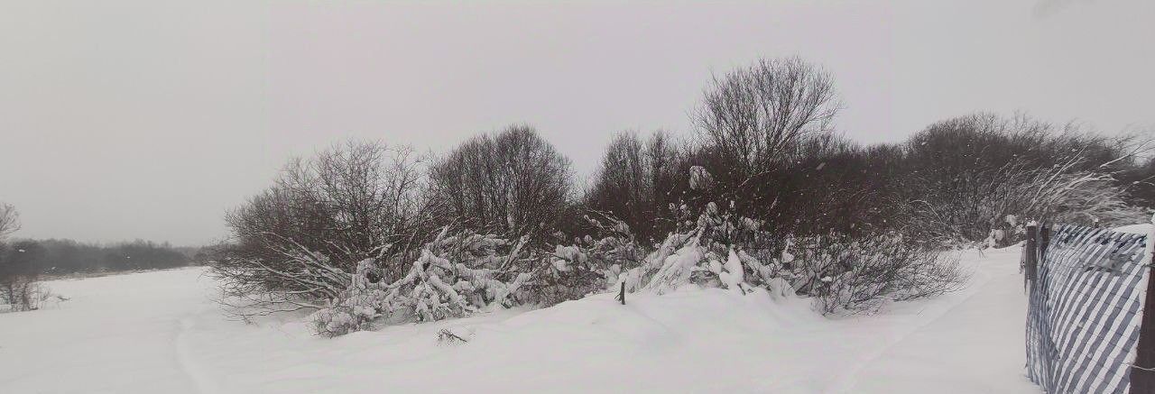 земля городской округ Талдомский д Ермолино фото 1