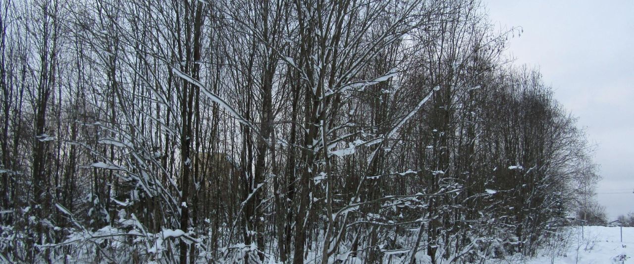 земля городской округ Рузский с Покровское фото 2