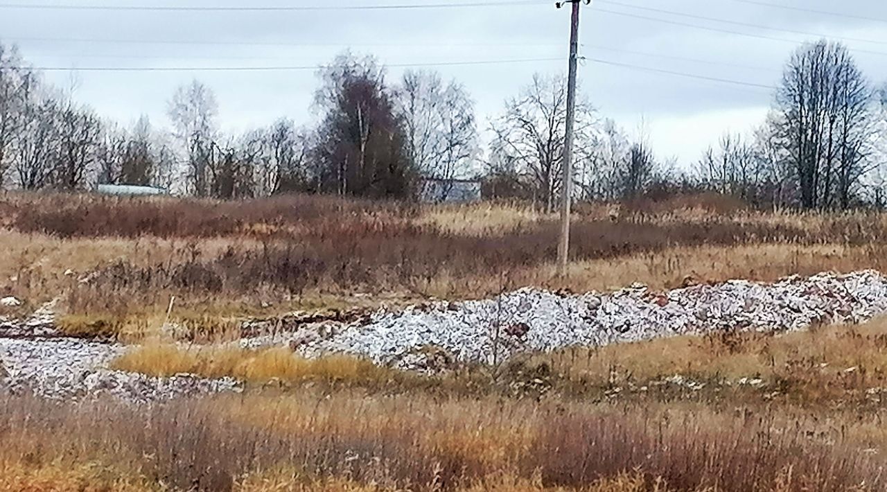 земля городской округ Дмитровский д Ассаурово фото 15