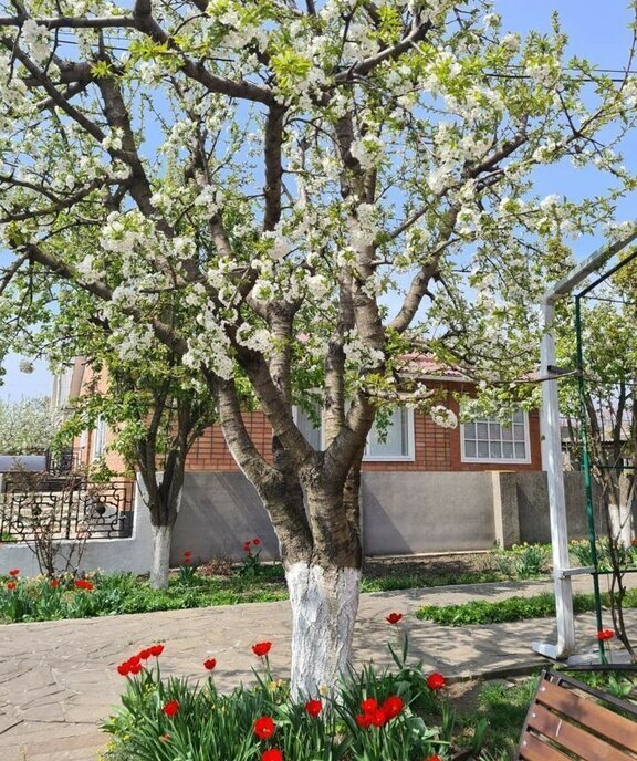 дом р-н Аксайский п Водопадный ул Виноградная фото 1