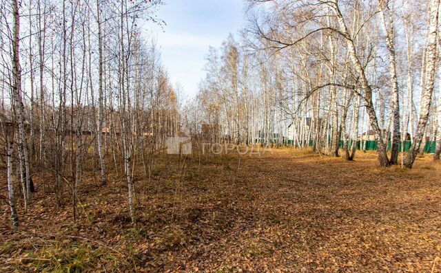 земля Криводановский сельсовет, Новосибирск фото