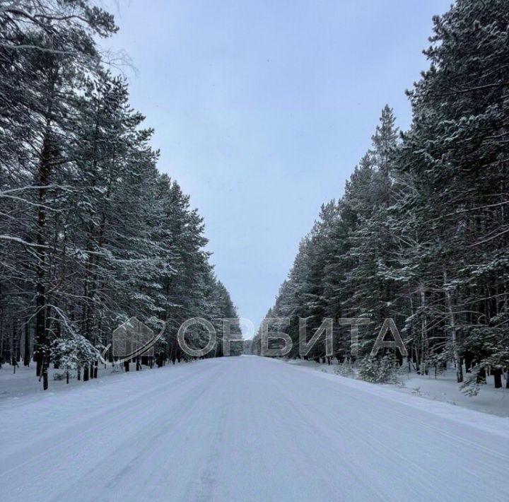 земля р-н Тюменский д Чаплык пер Центральный фото 1