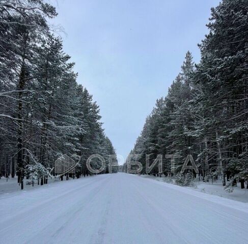 пер Центральный фото