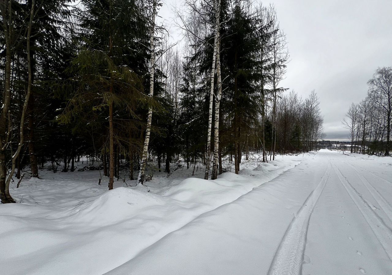 земля городской округ Дмитровский д Удино 31 км, 119, Икша, Рогачёвское шоссе фото 1