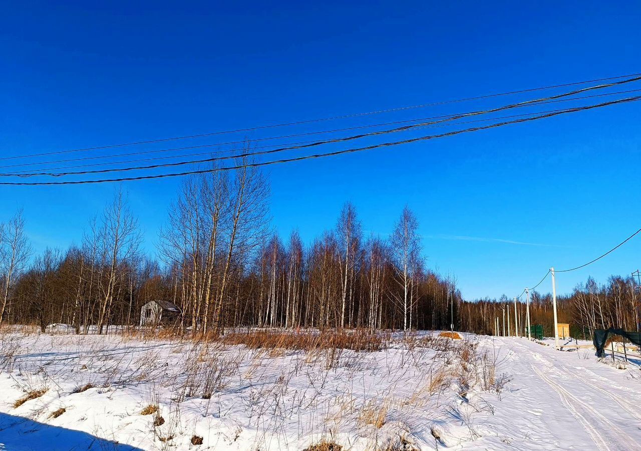 земля городской округ Сергиево-Посадский с Бужаниново 68 км, Краснозаводск, Ярославское шоссе фото 4