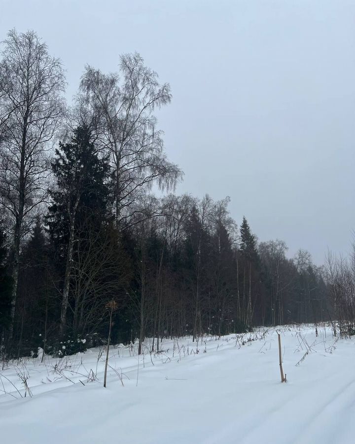 земля городской округ Солнечногорск д Бережки 45 км, Солнечногорск, Пятницкое шоссе фото 4