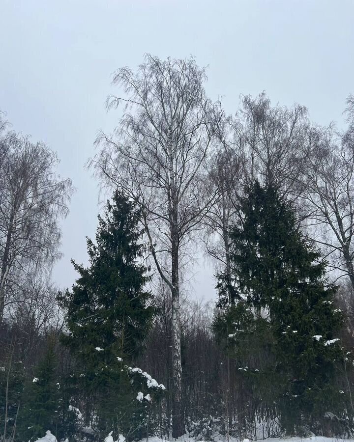 земля городской округ Солнечногорск д Бережки 45 км, Солнечногорск, Пятницкое шоссе фото 2