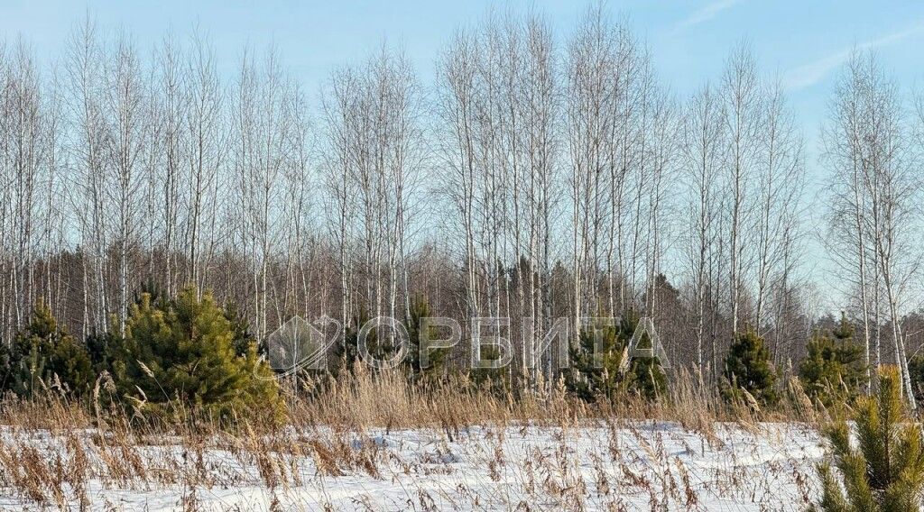 земля р-н Тюменский д Чаплык пер Центральный фото 8