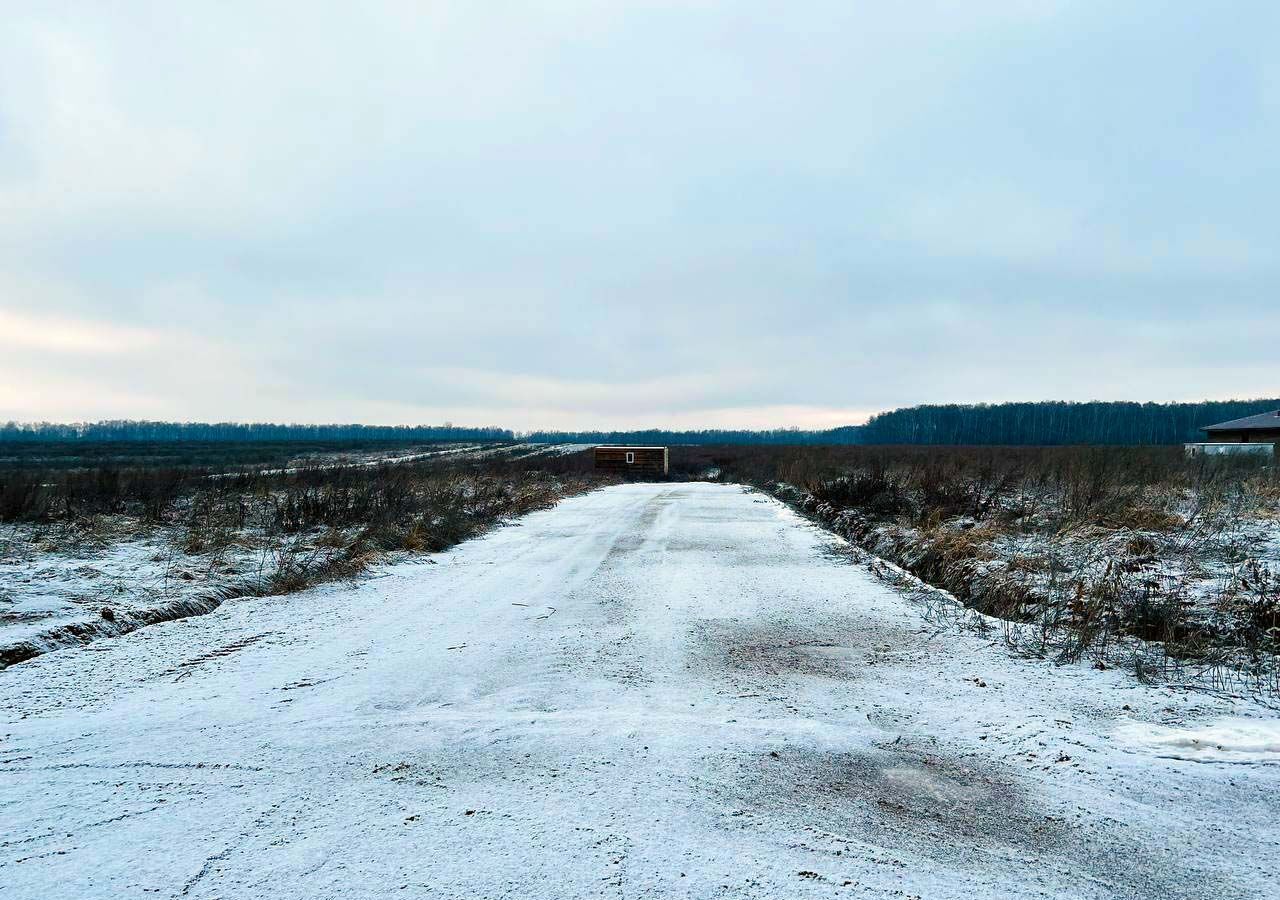 земля городской округ Домодедово с Успенское 33 км, коттеджный пос. Барыбино, 372, Домодедово, Новокаширское шоссе фото 23