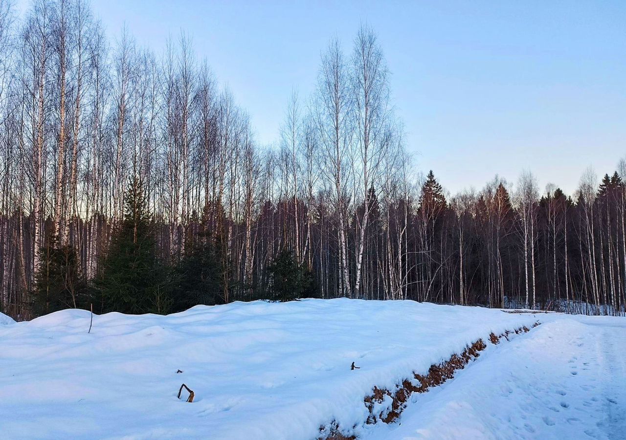 земля городской округ Дмитровский рп Деденево 34 км, коттеджный пос. Ольшаны, Солнечная ул, Дмитровское шоссе фото 11